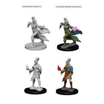 Pathfinder Deep Cuts Unpainted Miniatures: W1 Elf Female Sorcerer